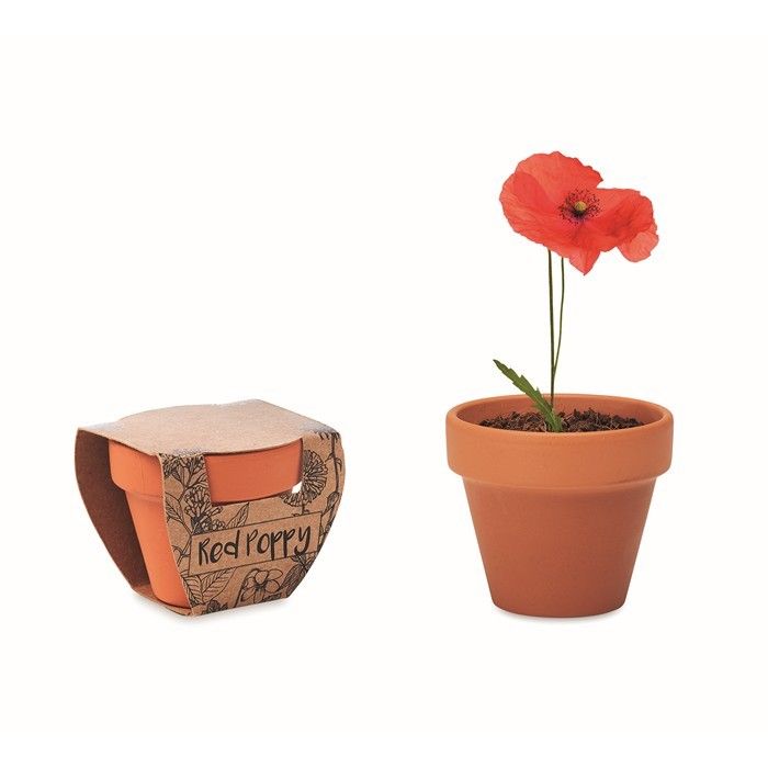 Pot avec graine de coquelicot vue avec zone d'impression