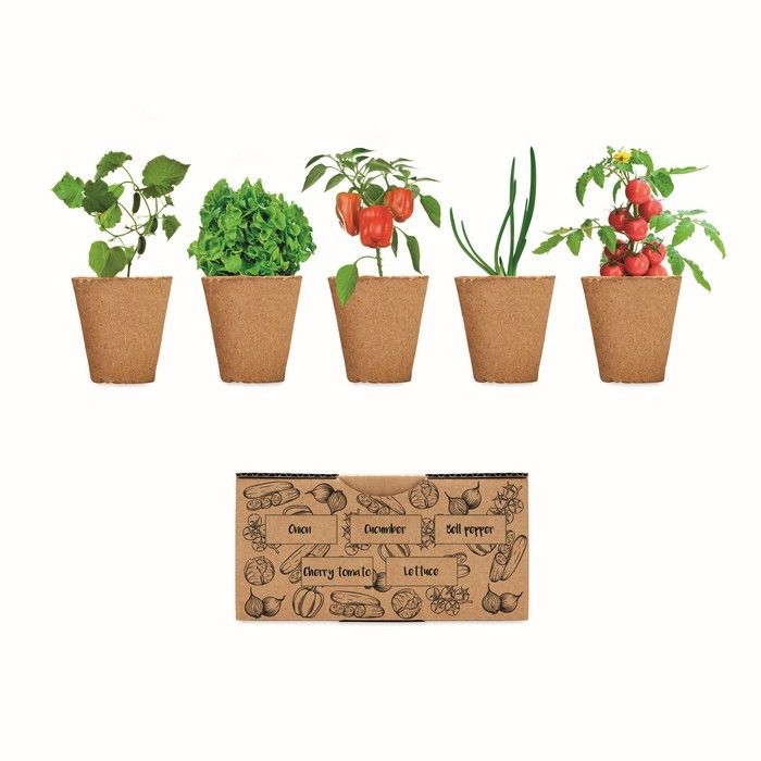 Kit de culture de légumes avec logo vue avec zone d'impression