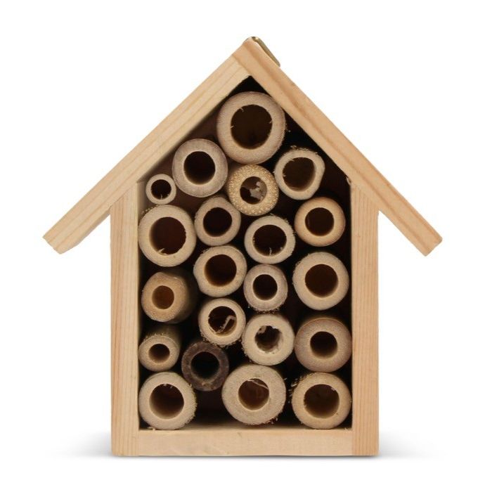 Petite maison écologique pour abeilles en bois FSC avec zone d'impression