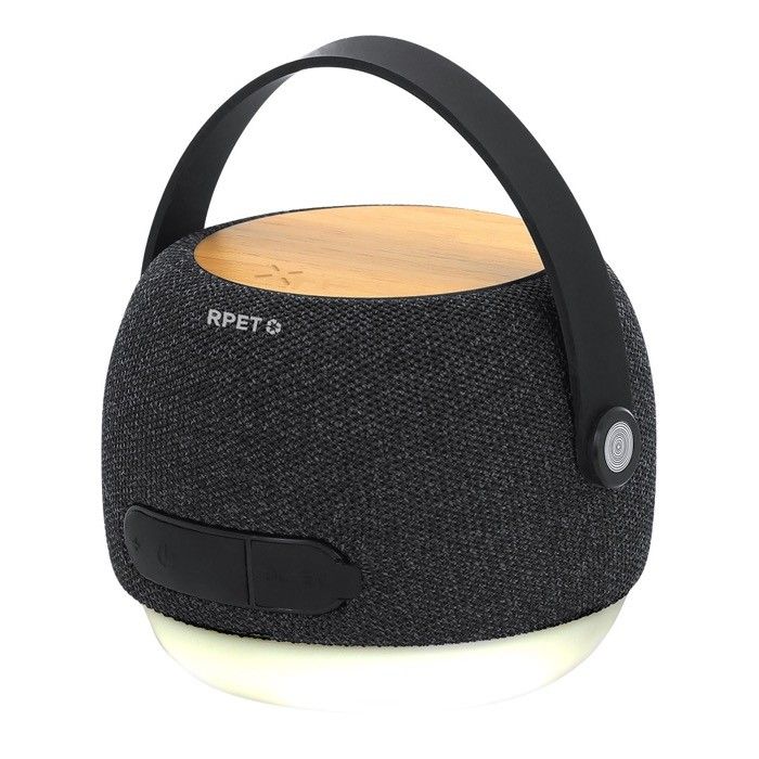 Enceinte avec chargeur eclairage LED et poignée de transport, 15 watts