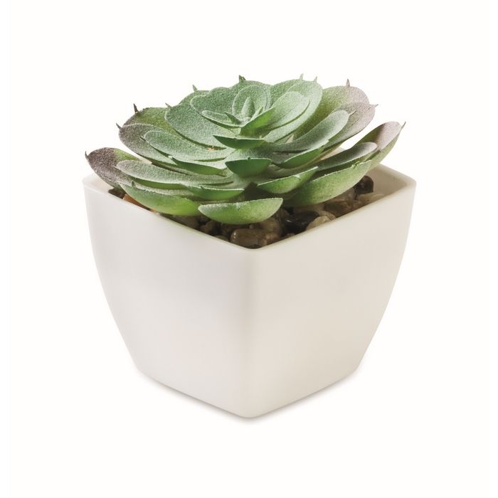 Mini plante artificielle en PP en forme de succulente echeveria