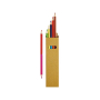 Boîte en carton avec fenêtre avec six crayons bicolores amusants