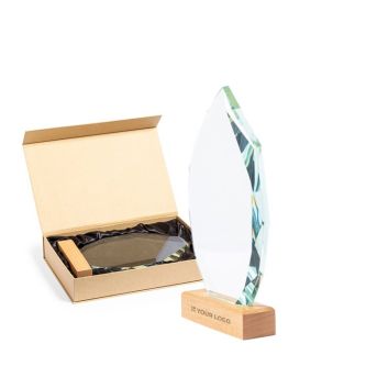 Plaque de verre de forme géométrique avec une base bois vue principale