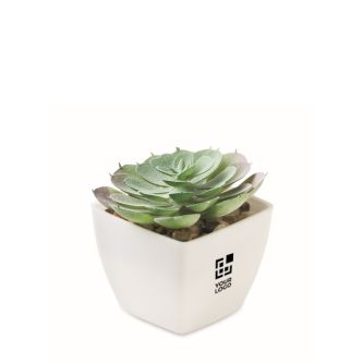 Mini plante artificielle en PP en forme de succulente echeveria