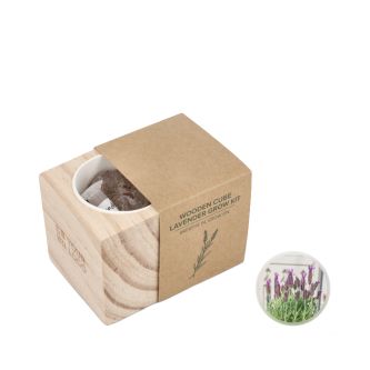 Kit de culture de lavande avec pot et substrat de coco
