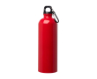 Gourde en acier inoxydable recyclé avec mousqueton 750ml couleur rouge