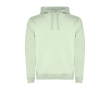 Sweat-shirt en coton et polyester 280 g/m² Roly Direct Urban couleur vert doux