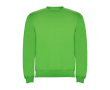 Pull en coton et polyester 280 g/m² Roly Direct Clasica couleur vert clair