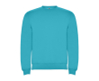 Pull en coton et polyester 280 g/m² Roly Direct Clasica couleur turquoise