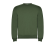 Pull en coton et polyester 280 g/m² Roly Direct Clasica couleur vert foncé