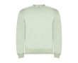 Pull en coton et polyester 280 g/m² Roly Direct Clasica couleur vert doux