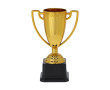 Trophée doré avec 2 poignées latérales sur une base noire couleur doré