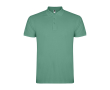 Polo pour homme en coton piqué 200 g/m² Roly Direct Star couleur menthe