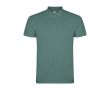 Polo pour homme en coton piqué 200 g/m² Roly Direct Star couleur vert clair