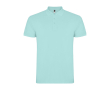 Polo pour homme en coton piqué 200 g/m² Roly Direct Star couleur vert menthe