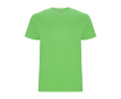 T-shirt manches courtes en coton 190 g/m² Roly Direct Stafford couleur vert clair
