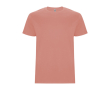 T-shirt manches courtes en coton 190 g/m² Roly Direct Stafford couleur marron orangé