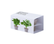Lot de deux pots avec menthe et persil couleur beige