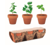 Pots avec des herbes aromatiques couleur marron