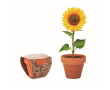 Pot avec graine de tournesol couleur marron