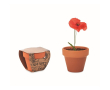 Pot avec graine de coquelicot couleur marron