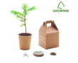 Pot écologique avec graines de pin couleur beige