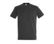 T-shirt basique à imprimer avec le logo couleur titan