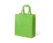 Sac résistant stratifié avec soufflet couleur vert