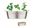 Jardinière avec des graines pour entreprise couleur argenté mat