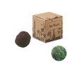 Kit de cultivo de semillas de flores de abeja presentado en caja couleur beige