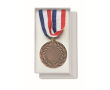 Médaille en fer avec ruban tricolore bleu, blanc, rouge couleur marron