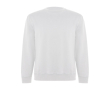 Pull unisexe en coton biologique et polyester recyclé 300 g/m² Roly couleur blanc