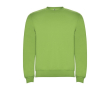 Pull unisexe en coton et polyester en tricot 280 g/m² Roly couleur vert lime