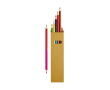 Boîte en carton avec fenêtre avec six crayons bicolores amusants couleur naturel