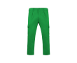 Pantalon de travail en polyester et coton 240 g/m² Roly Daily couleur vert gazon