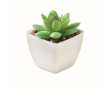 Mini plante artificielle en PP de type succulente décorative couleur blanc