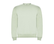 Pull avec logo unisexe en coton et polyester en tricot 280 g/m² Roly couleur vert doux