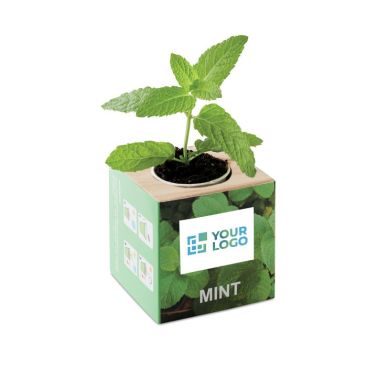 Pot de fleurs avec des graines pour les clients vue avec zone d'impression