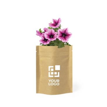 Pot de fleurs original avec graines couleur marron