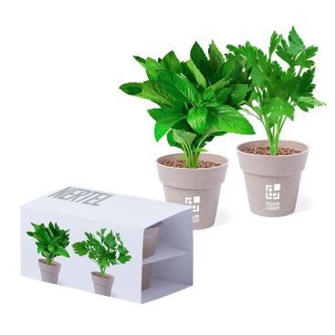 Lot de deux pots avec menthe et persil vue avec zone d'impression