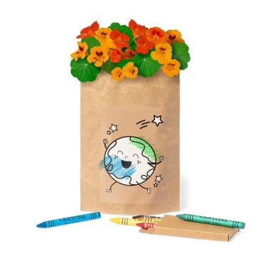 Pot de fleurs avec des crayons de couleur
