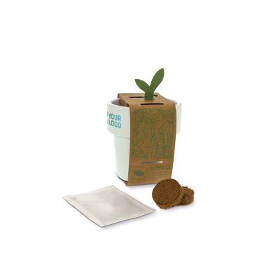 Pot avec graines de basilic à double usage comme tasse à café avec zone d'impression