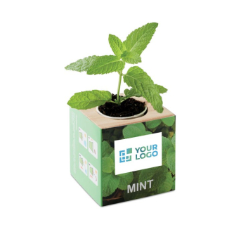 Pot de fleurs avec des graines pour les clients vue avec zone d'impression