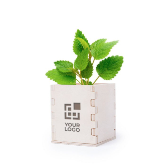 Pot de fleurs avec des graines de menthe couleur beige