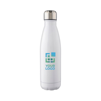 Bouteille en acier inoxydable avec bouchon à vis argenté 650ml