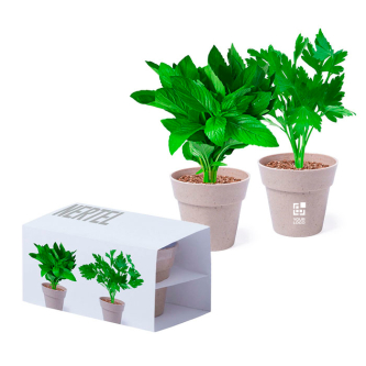Lot de deux pots avec menthe et persil vue avec zone d'impression