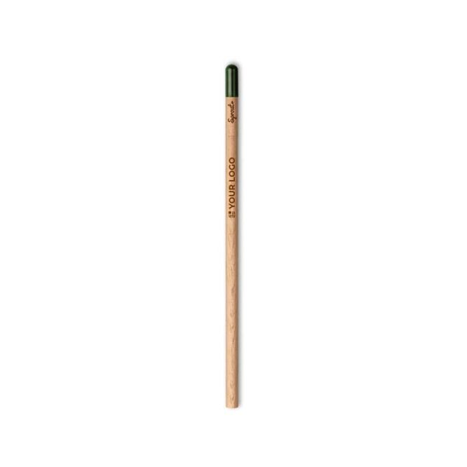 Crayon avec graines de marguerite avec zone d'impression