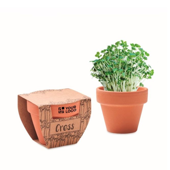 Pot en terre cuite, graines de cresson et pastille de terre vue avec zone d'impression