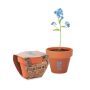 Pot avec graine de Myosotis vue avec zone d'impression