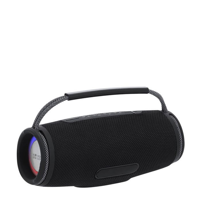 Enceinte éclairage latéral et poignée de transport,10 watts